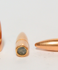 .223 cal 55gr FMJ BT bullets